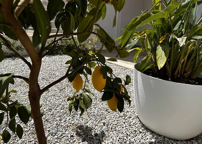 Casa Limone, Tropea Drapia